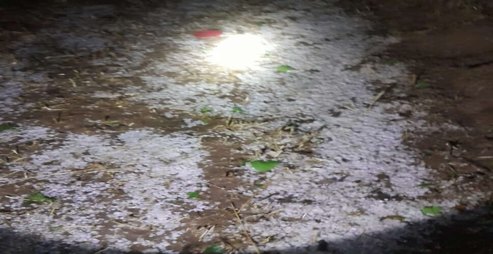 Severe Weather Hits Rajasthan: Hailstorm and Strong Winds Cause Damage