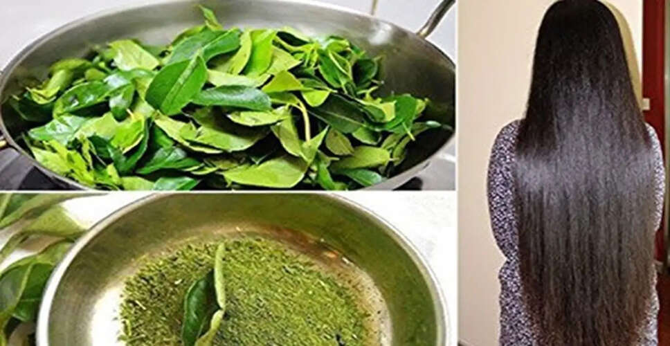 DIY Ayurvedic Hair Tonic for Healthy Hair Growth