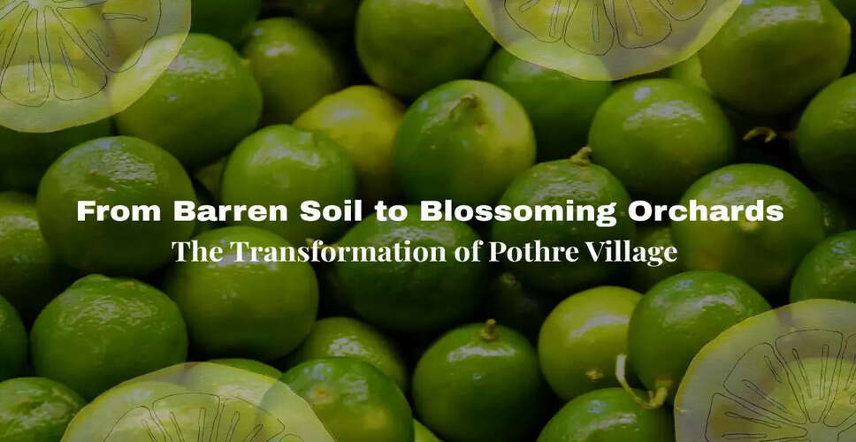 Pothre: A Village Transformed by Lemon Cultivation