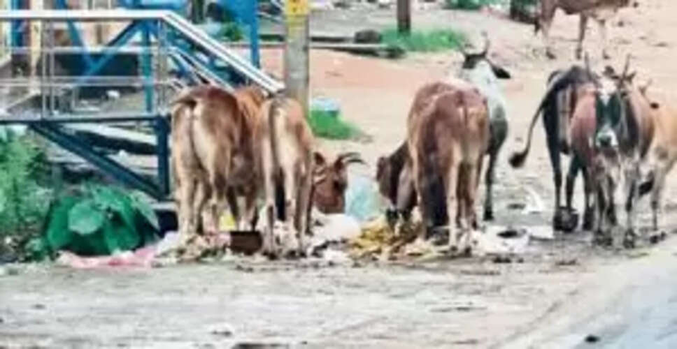Residents Alarmed by Garbage Crisis Near National Highway in Semiliguda