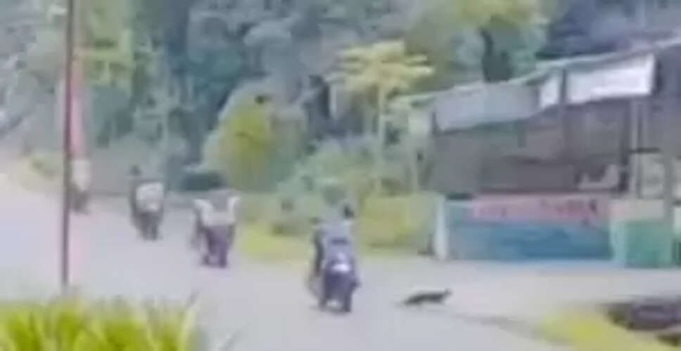 Is a Black Cat a Bad Omen? Viral Video Sparks Debate on Superstitions