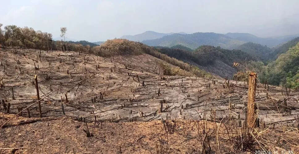 Manipur's Tree Loss Due to Highway Projects Raises Environmental Concerns