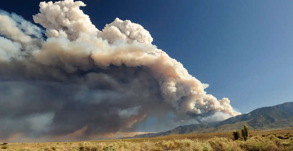 Brush Fire Erupts in Palmdale, Prompting Shelter-in-Place Order