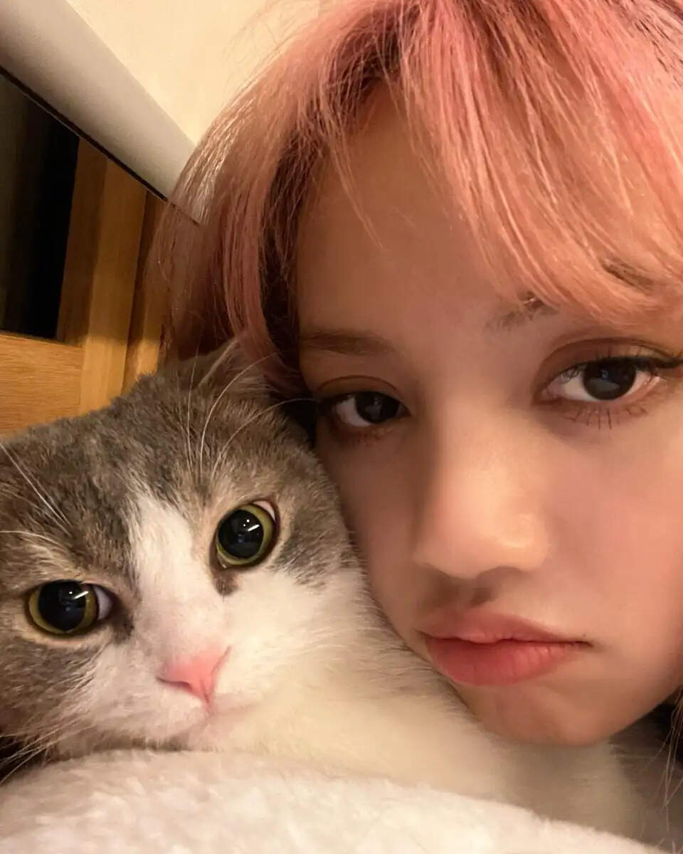 Famous Furry Friends: The Celebrity Pets Captivating Hearts Worldwide