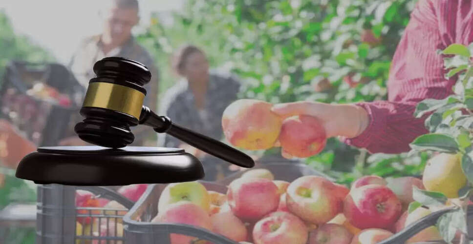 Supreme Court Provides Relief to Himachal Apple Growers by Overturning High Court Ruling