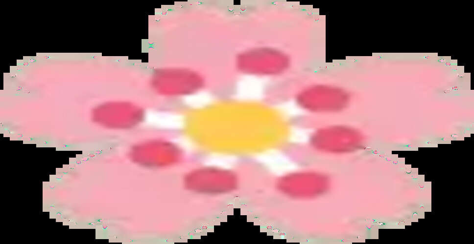 D.A.V. Public School Gohju Celebrates Children's Day with Sports and Culture