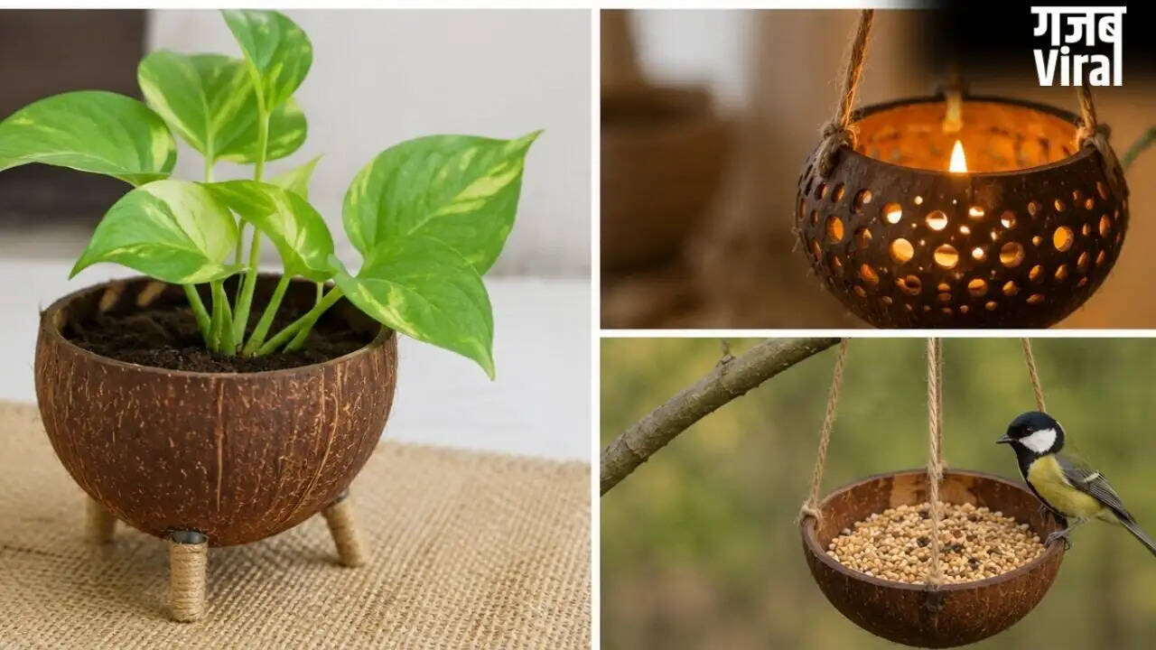 Creative Ways to Use Coconut Shells for Home Decoration