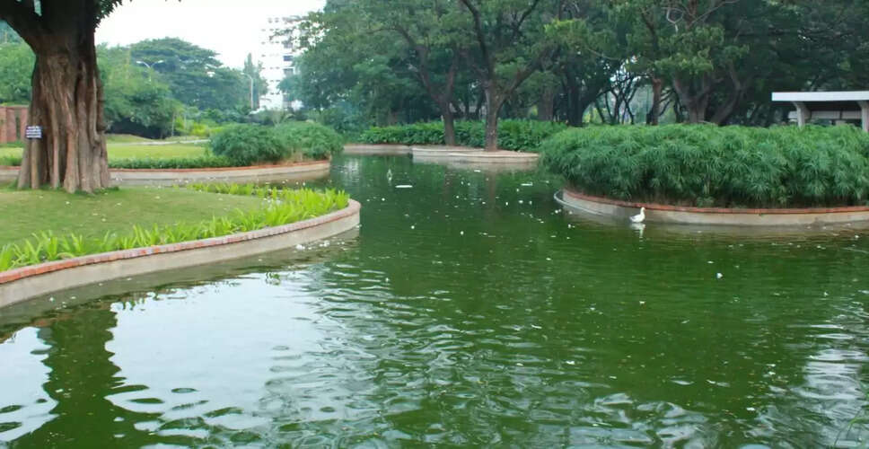 Chennai Corporation to Revitalize 41 Ponds with ₹119 Crore Investment