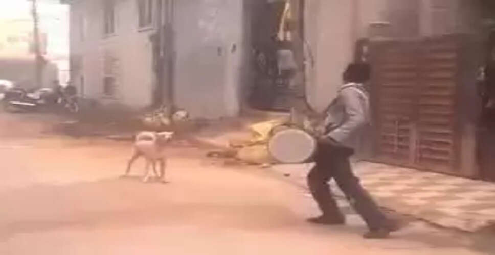 A Hilarious Showdown: Street Dog vs. Wedding Drummer Goes Viral!
