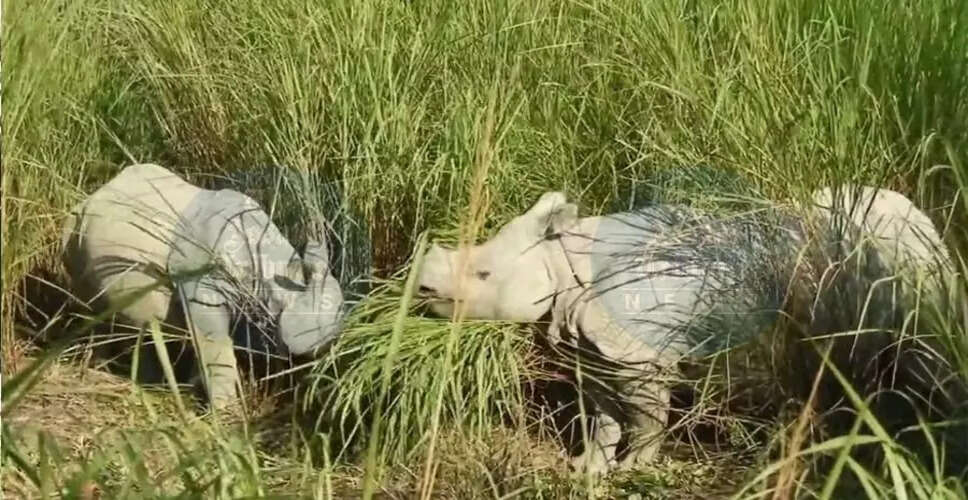 Kaziranga National Park Seizes Weapons Linked to Rhino Poaching
