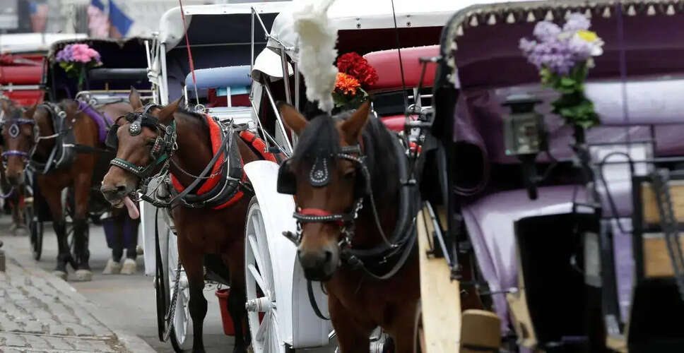 Tragic Incident in Central Park: Indian Tourist Dies After Horse-Drawn Carriage Accident