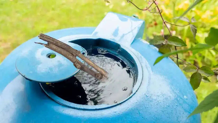 Natural Ways to Keep Your Water Tank Clean This Summer