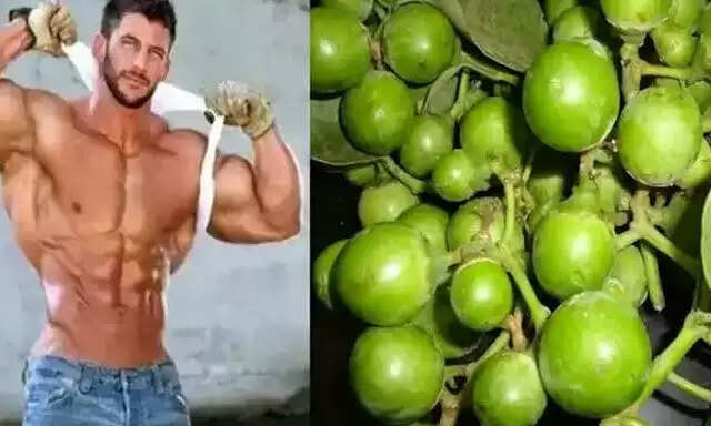 लसोड़ा: एक फल जो मांस से भी ज्यादा ताकतवर है