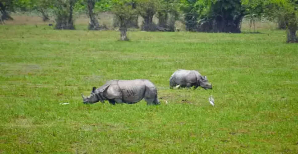 Operation Falcon playing major role in anti-poaching drive: Assam CM