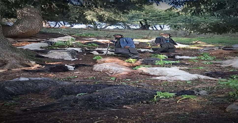 Lightning Strikes in Jammu and Kashmir, Claiming Lives of 90 Sheep and Goats