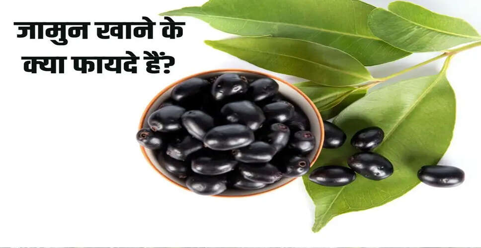 The Health Benefits of Jamun: A Summer Superfruit