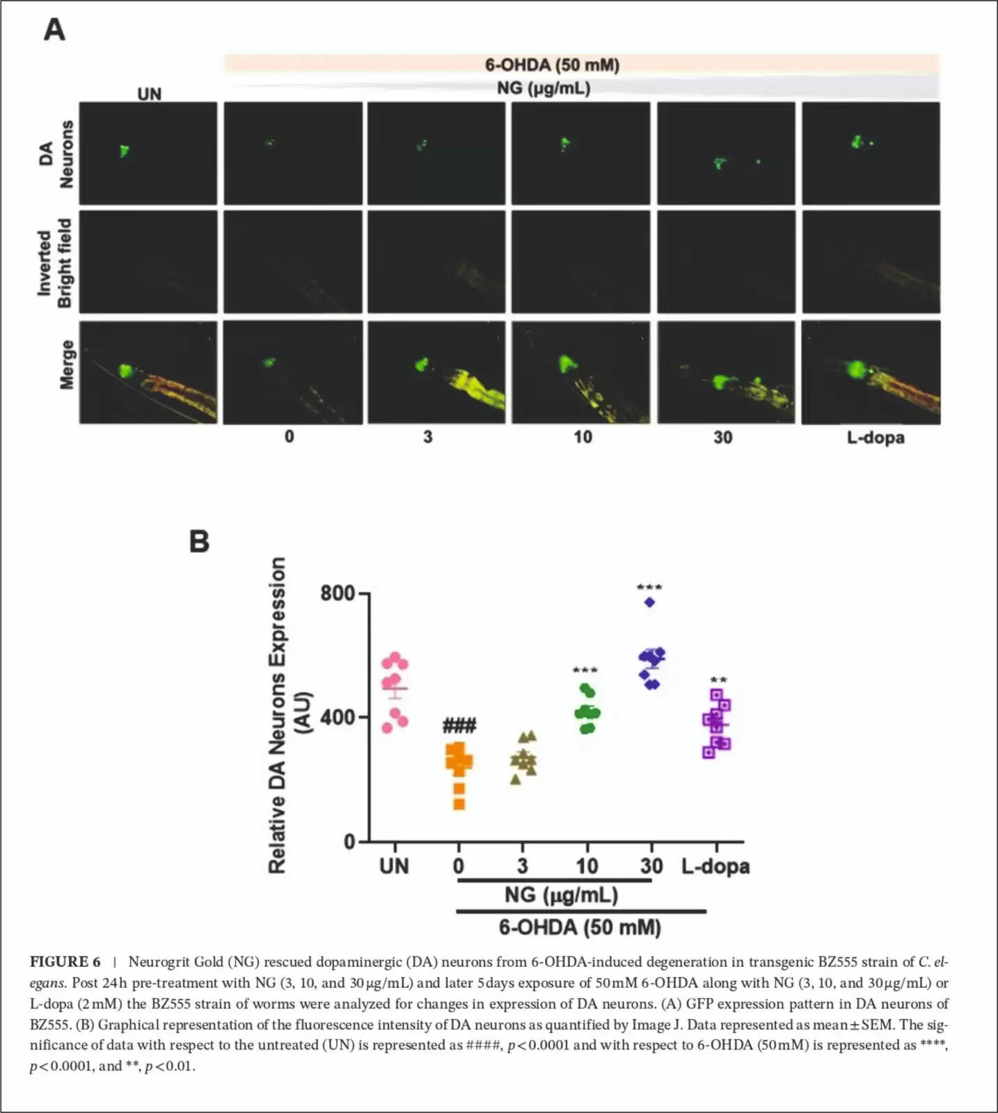Patanjali's Neurogrit Gold: A Breakthrough in Parkinson's Research