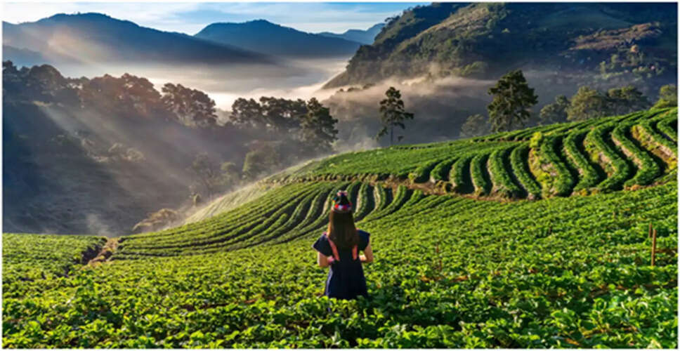 Emerging Travel Trends for 2026: Embrace a New Way to Explore