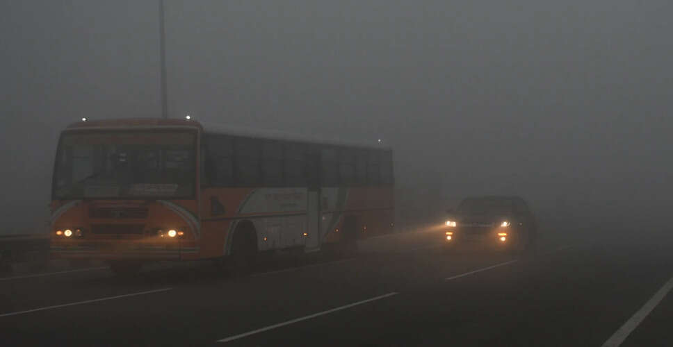 Delhi's 'No PUC, No Fuel' Campaign Sees Over 3,700 Vehicles Penalized