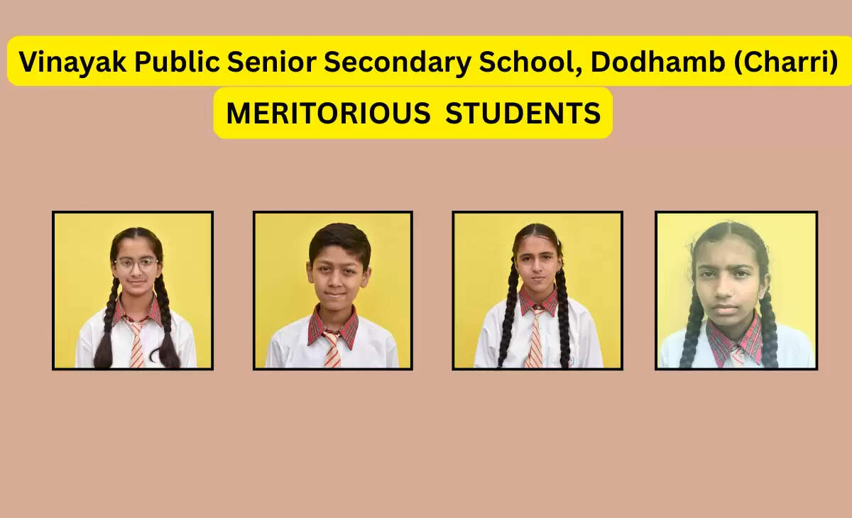 Vinayak Public School Achieves 100% Pass Rate in Himachal Pradesh Board Exams