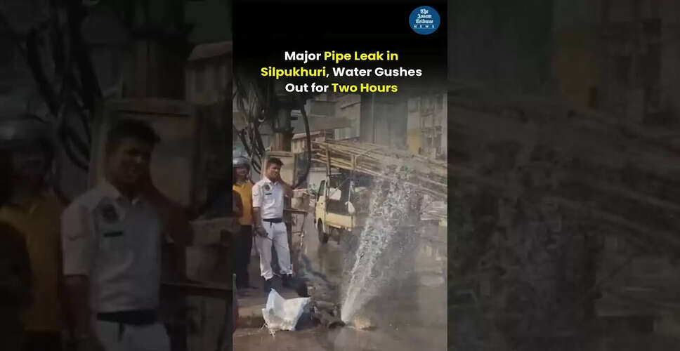 Exploring the Latest Trends in Video Content Creation