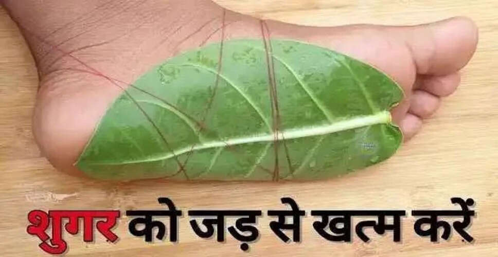 Effective Home Remedy to Combat Diabetes Using Aloe Vera Leaves