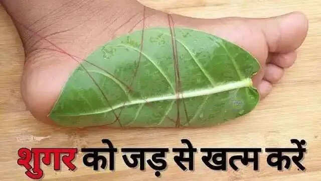 Effective Home Remedy to Combat Diabetes Using Aloe Vera Leaves