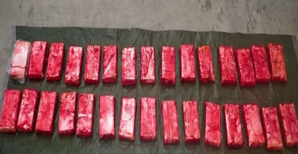 Major Drug Bust in Australia: Six Arrested in Cocaine Import Scheme