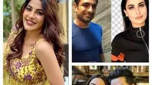 Don’t find anything fake between Eijaz-Pavitra and Aly-Jasmin relationship says Nikki Tamboli