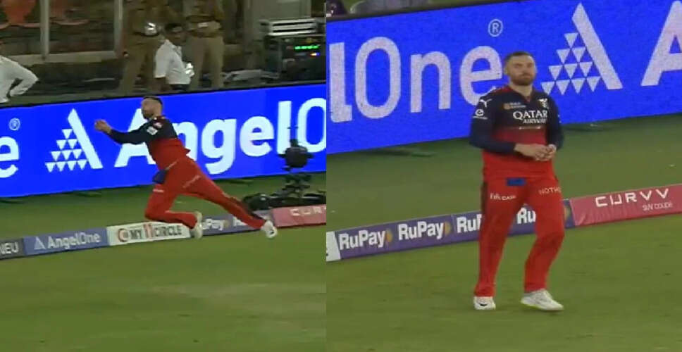 Phil Salt's Stunning Catch Shines in IPL Final Against Punjab Kings