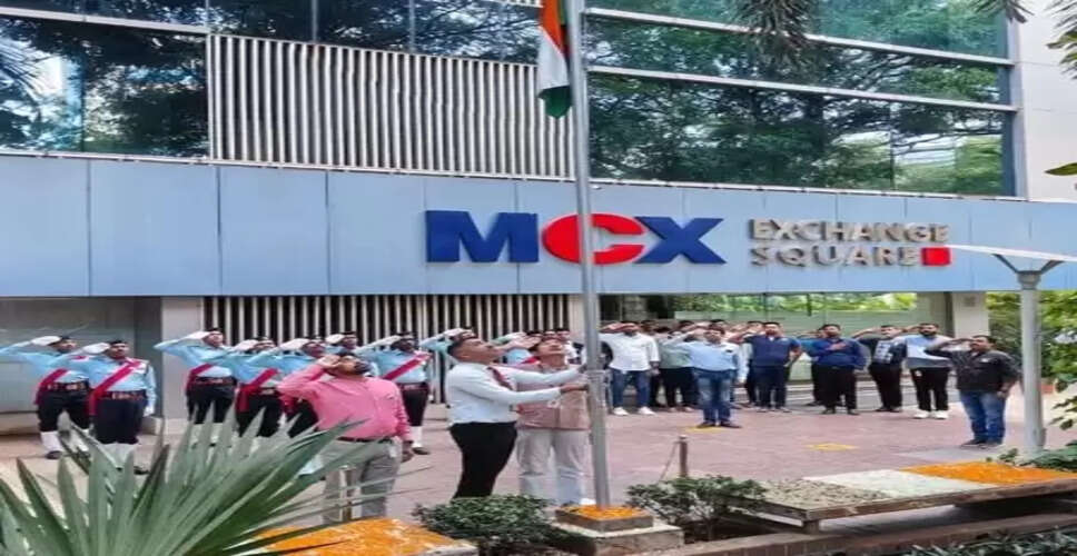 MCX to launch electricity futures contract starting July 10