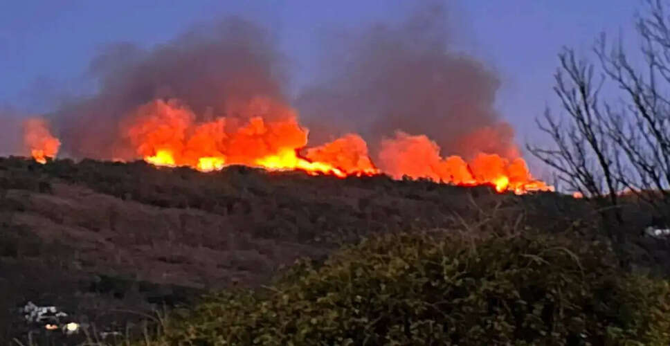 Evacuation Order Issued Amid Brush Fire Near Live Oak Park
