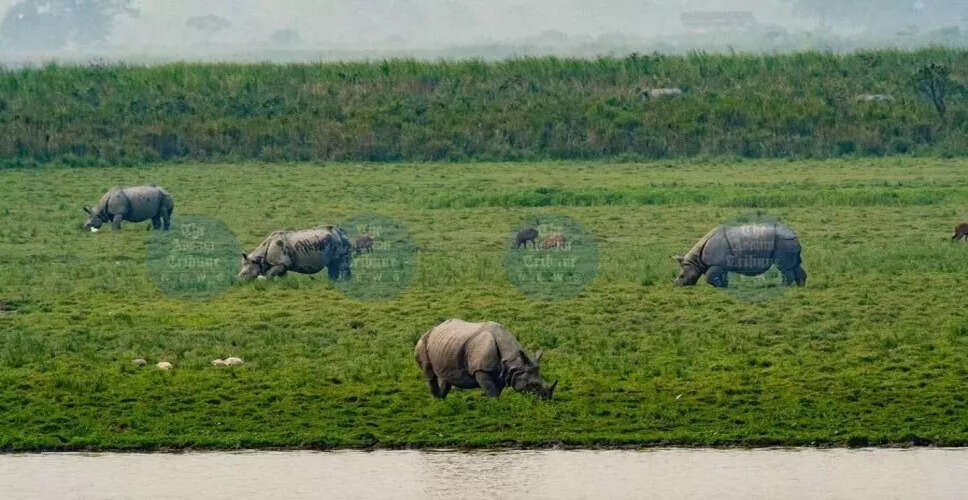 Assam Government Revokes Kaziranga National Park Expansion Notification