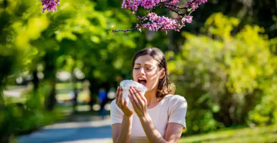 Navigating Allergy Season: Tips and Insights for Relief