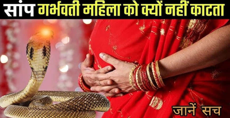 Why Snakes Avoid Pregnant Women: Unveiling the Mystery
