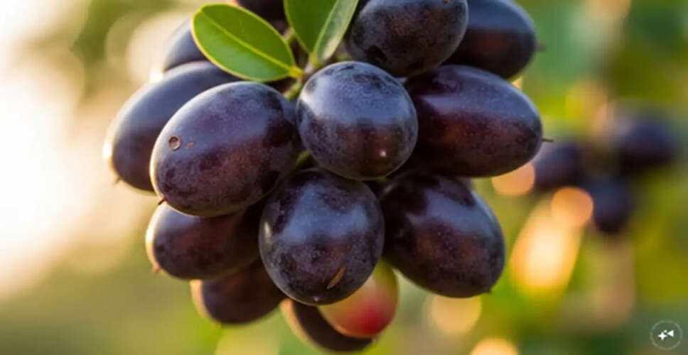 Discover the Health Benefits of Jamun: A Summer Superfruit