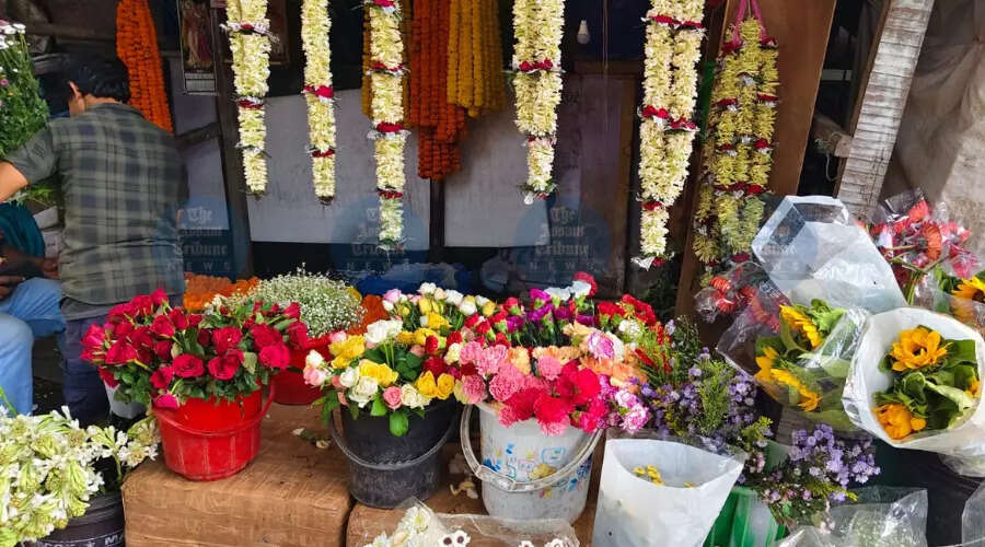 Assam's Floriculture Potential: A Blossoming Opportunity or a Withering Dream?