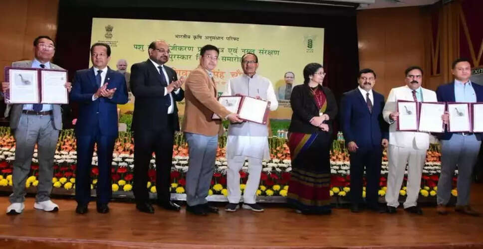 Manipuri Duck Officially Recognized as Indigenous Breed