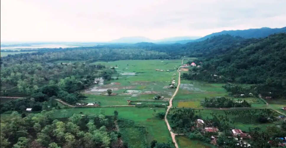 Demand for Investigation into Land Allotment Near Kaziranga National Park
