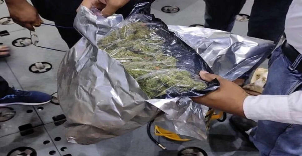 Customs Officials Seize Hydroponic Cannabis and Gold at Mumbai Airport