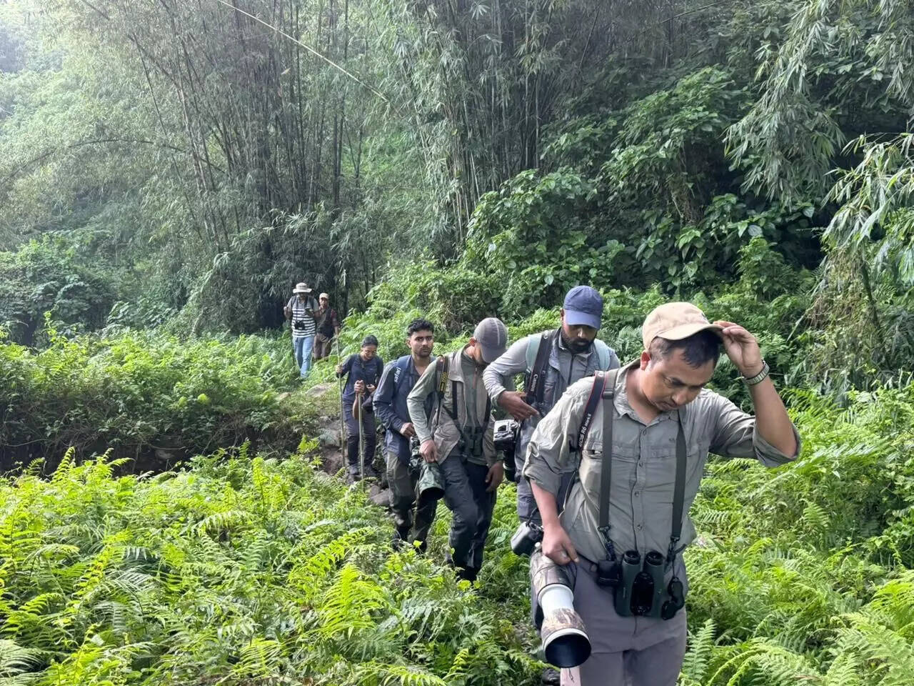 Record Foreign Tourist Arrivals at Kaziranga National Park in 2025-26
