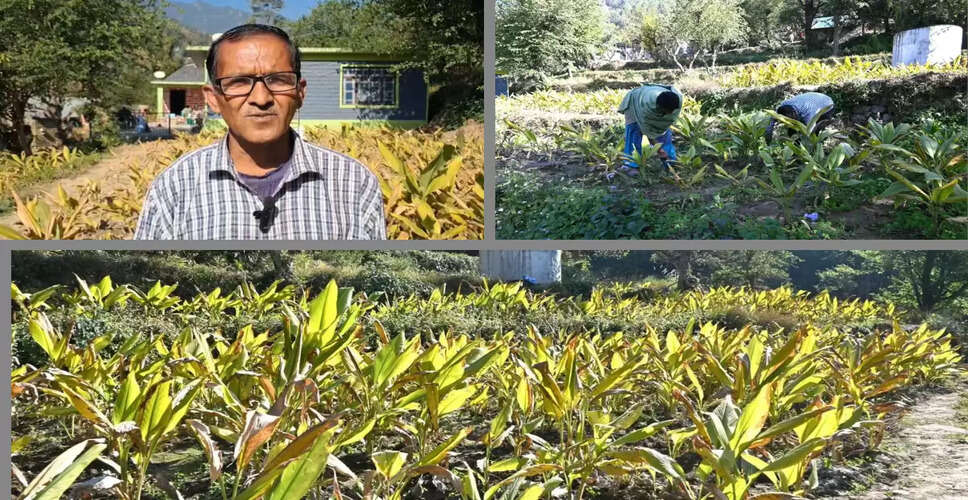 Boosting Farmer Incomes: Himachal Pradesh's Natural Farming Initiative