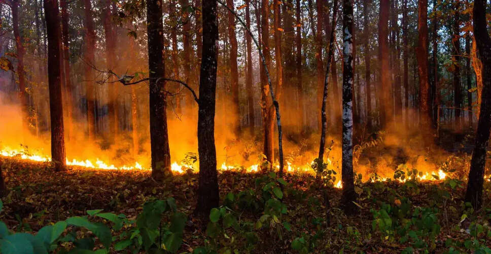 Emergency Response Activated for Vegetation Fire in Santee, California