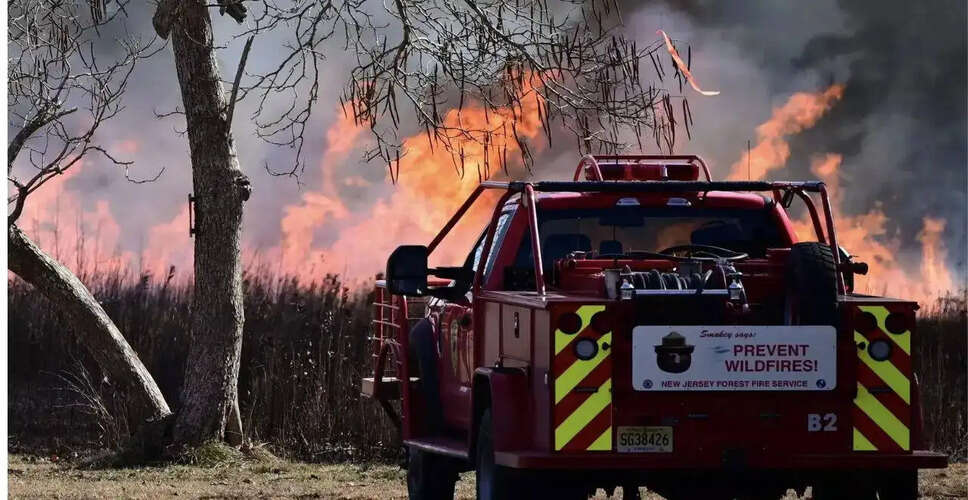 Urgent Alert Issued for Forest Fire in Clay County