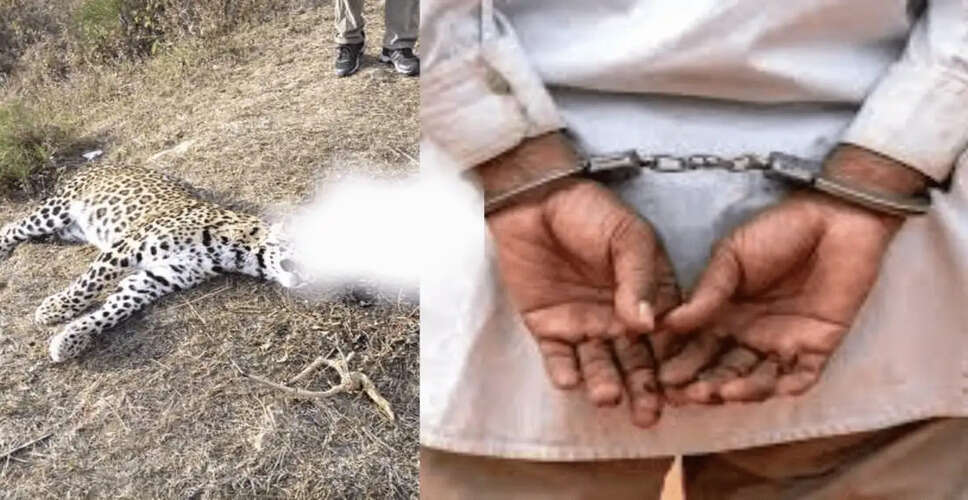 Farmhouse Owner and Employee Arrested for Leopard's Death in Himachal Pradesh