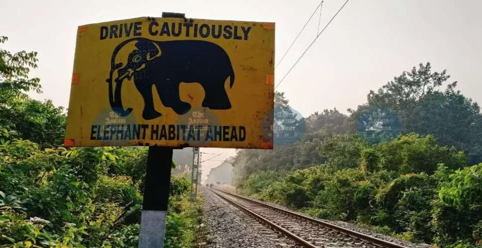 Efforts to Protect Wildlife: New Mitigation Measures on Indian Railways