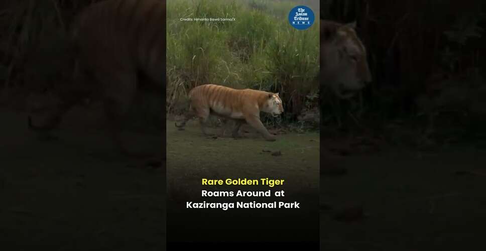 Exploring the Latest Trends in Video Content Creation