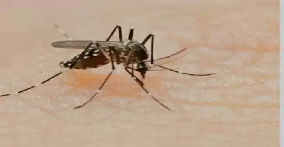 Dengue fever cases in Laos increase to 2,041