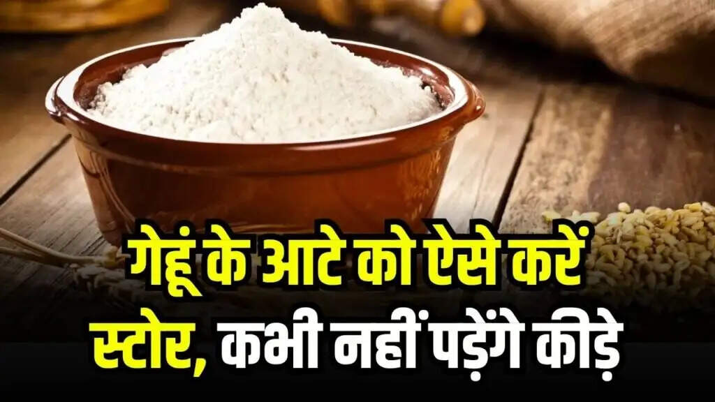 Effective Tips for Storing Wheat Flour and Keeping It Pest-Free