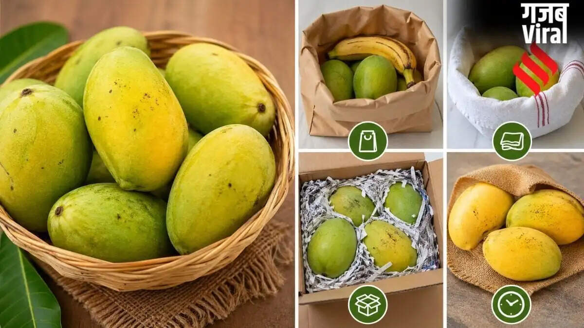 Traditional Methods to Ripen Mangoes Naturally